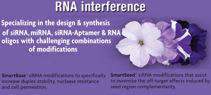 e-oligos RNAi, siRNA & miRNA custom synthesis